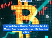 Harga Bitcoin Anjlok, Apa yang terjadi?