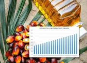 Harga Minyak Sawit Melemah, Pemerintah Berupaya Mengendalikan Harga dan Meningkatkan Produksi Energi Baru