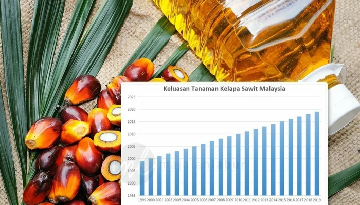 Harga Minyak Sawit Melemah, Pemerintah Berupaya Mengendalikan Harga dan Meningkatkan Produksi Energi Baru