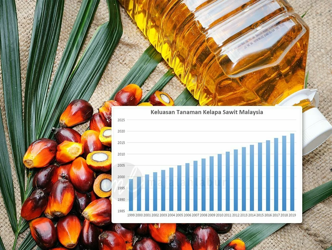 Harga Minyak Sawit Melemah, Pemerintah Berupaya Mengendalikan Harga dan Meningkatkan Produksi Energi Baru