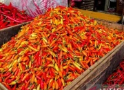 Harga Pangan Nasional Mengalami Perubahan: Cabai Rawit Merah dan Daging Sapi Turun