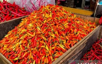 Harga Pangan Nasional Mengalami Perubahan: Cabai Rawit Merah dan Daging Sapi Turun