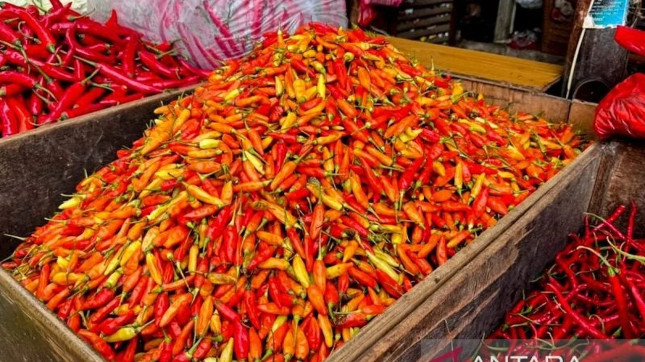Harga Pangan Nasional Mengalami Perubahan: Cabai Rawit Merah dan Daging Sapi Turun
