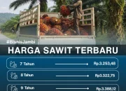 Harga Sawit Meningkat, Petani Diuntungkan, Pemerintah Kawal Harga