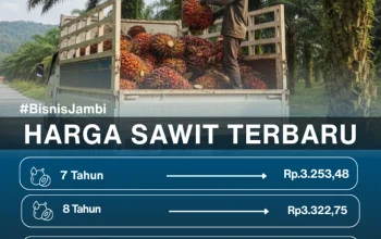 Harga Sawit Meningkat, Petani Diuntungkan, Pemerintah Kawal Harga