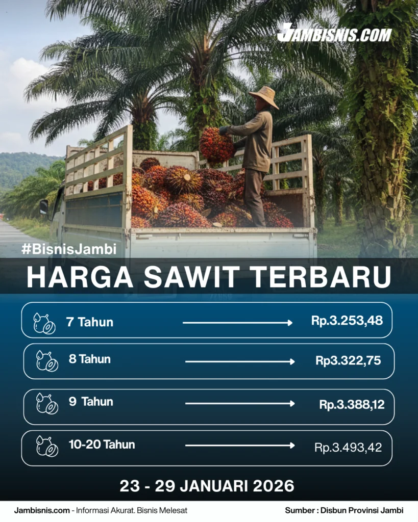 Harga Sawit Meningkat, Petani Diuntungkan, Pemerintah Kawal Harga