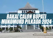 Kandidatur: Persaingan Sengit dalam Pemilihan Bupati dan Kepemimpinan