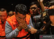 Kasus Korupsi Bea Cukai: Heri Black dan Blueray Cargo Terlibat