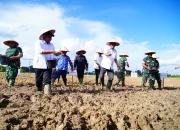 Kementan Dorong Ketahanan Pangan dengan Program Cetak Sawah
