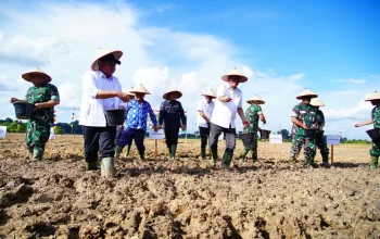 Kementan Dorong Ketahanan Pangan dengan Program Cetak Sawah