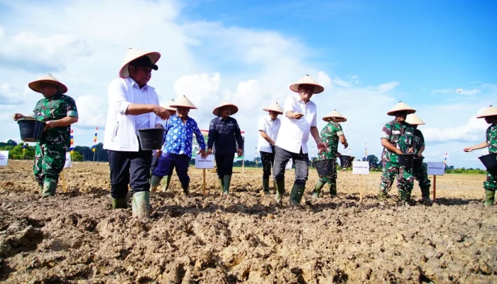 Kementan Dorong Ketahanan Pangan dengan Program Cetak Sawah