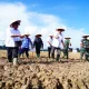 Kementan Dorong Ketahanan Pangan dengan Program Cetak Sawah