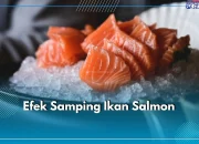 Keracunan Makanan: Bahaya Mengonsumsi Ikan Salmon Mentah dan Sate Kiriman Misterius