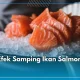 Keracunan Makanan: Bahaya Mengonsumsi Ikan Salmon Mentah dan Sate Kiriman Misterius