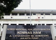Komisi Nasional Hak Asasi Manusia: Perlindungan dan Pemenuhan Hak Asasi Manusia di Indonesia