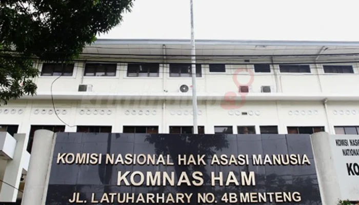 Komisi Nasional Hak Asasi Manusia: Perlindungan dan Pemenuhan Hak Asasi Manusia di Indonesia
