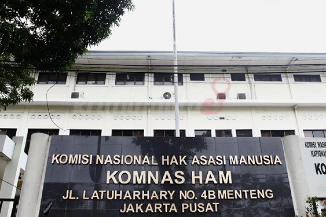 Komisi Nasional Hak Asasi Manusia: Perlindungan dan Pemenuhan Hak Asasi Manusia di Indonesia