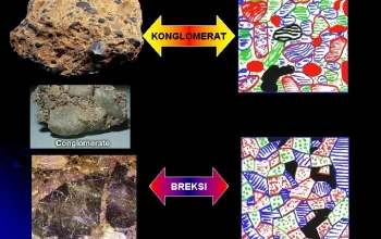 Konglomerat dan Batu Bara: Dua Cerita Berbeda tentang Keuangan dan Kekuasaan