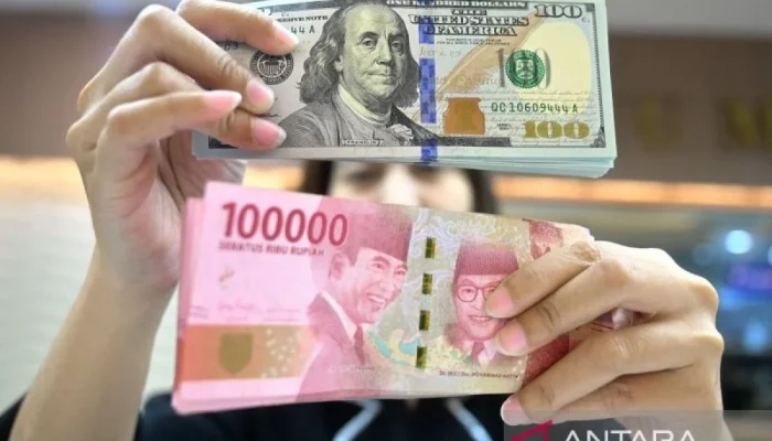 Kurs USD Hari Ini: Rupiah Melemah, Apa yang Terjadi di Balik Pelemahan Ini?