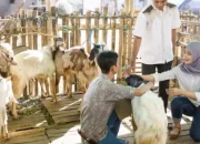 Libur Idul Adha: Persiapan dan Aktivitas Menarik di Berbagai Daerah
