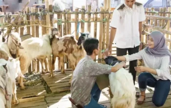 Libur Idul Adha: Persiapan dan Aktivitas Menarik di Berbagai Daerah