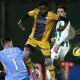 Luís Freire Tidak Terkalahkan, Guimarães vs Rio Ave Menjadi Pertandingan yang Menarik