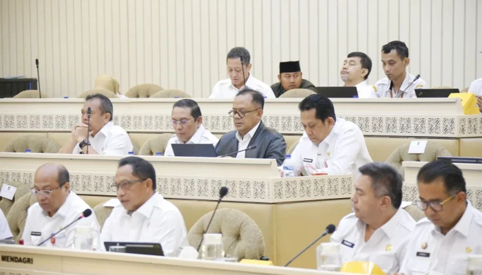 Mendagri Tito Karnavian Dorong Peran Strategis Dalam Pengawasan BUMD