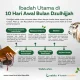 Mengenal Keutamaan 10 Hari Awal Dzulhijjah dan Contoh Khutbah Jumat
