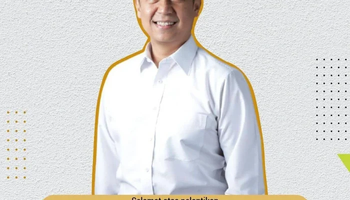 Menteri Kesehatan Budi Gunadi Sadikin: Profil dan Rekam Jejak