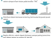 Nigeria Berjuang Melawan Keterpurukan: Dari Penyimpanan Dingin Hingga Politik