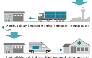 Nigeria Berjuang Melawan Keterpurukan: Dari Penyimpanan Dingin Hingga Politik