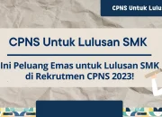 Peluang Emas untuk Lulusan SMK: 27 Sekolah Kedinasan dengan Kuliah Gratis dan CPNS