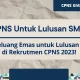 Peluang Emas untuk Lulusan SMK: 27 Sekolah Kedinasan dengan Kuliah Gratis dan CPNS