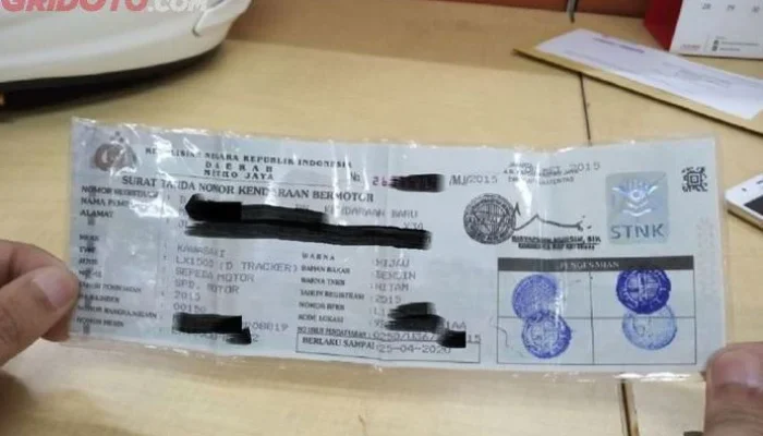 Pemerintah 6 Provinsi Bebaskan Bayar Pajak Kendaraan Bekas Tanpa KTP Pemilik Lama