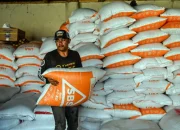 Pemerintah Beri Subsidi Kedelai untuk Stabilkan Harga Tempe