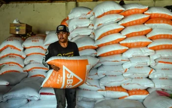 Pemerintah Beri Subsidi Kedelai untuk Stabilkan Harga Tempe