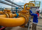 Pemerintah Turunkan Harga Gas Industri untuk Cegah PHK dan Stabilkan Ekonomi