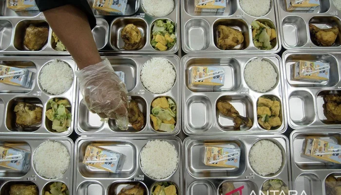 Penggelembungan di Balik Program Makan Bergizi Gratis, Apa yang Terjadi?