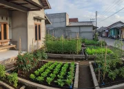 Penghasilan Tambahan untuk Masyarakat: Dari Kebun Mini hingga Side Hustle