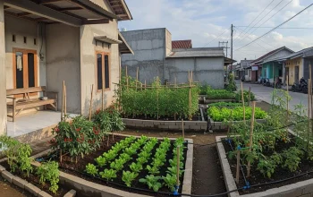 Penghasilan Tambahan untuk Masyarakat: Dari Kebun Mini hingga Side Hustle