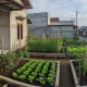 Penghasilan Tambahan untuk Masyarakat: Dari Kebun Mini hingga Side Hustle