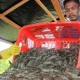 Perdagangan Udang Antara Malaysia dan Thailand Dalam Sorotan