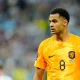 Pertandingan Sengit di Piala Dunia 2026: Belanda Vs Swedia dan Tunisia Vs Jepang