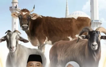 Piala Dunia 2026: Skotlandia vs Maroko dan Kondisi Neymar di Timnas Brasil