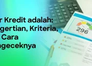Skor Kredit dan Cara Mengelolanya: Tips untuk Menghindari Penolakan Kredit