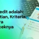 Skor Kredit dan Cara Mengelolanya: Tips untuk Menghindari Penolakan Kredit