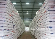 Stok Beras 5 Juta Ton, Ketahanan Pangan Indonesia Makin Kuat