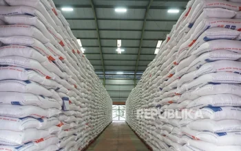 Stok Beras 5 Juta Ton, Ketahanan Pangan Indonesia Makin Kuat