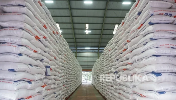 Stok Beras 5 Juta Ton, Ketahanan Pangan Indonesia Makin Kuat