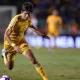 Tigres UANL: Pemain Meksiko Yang Membuat Gebrakan di Dunia Sepak Bola